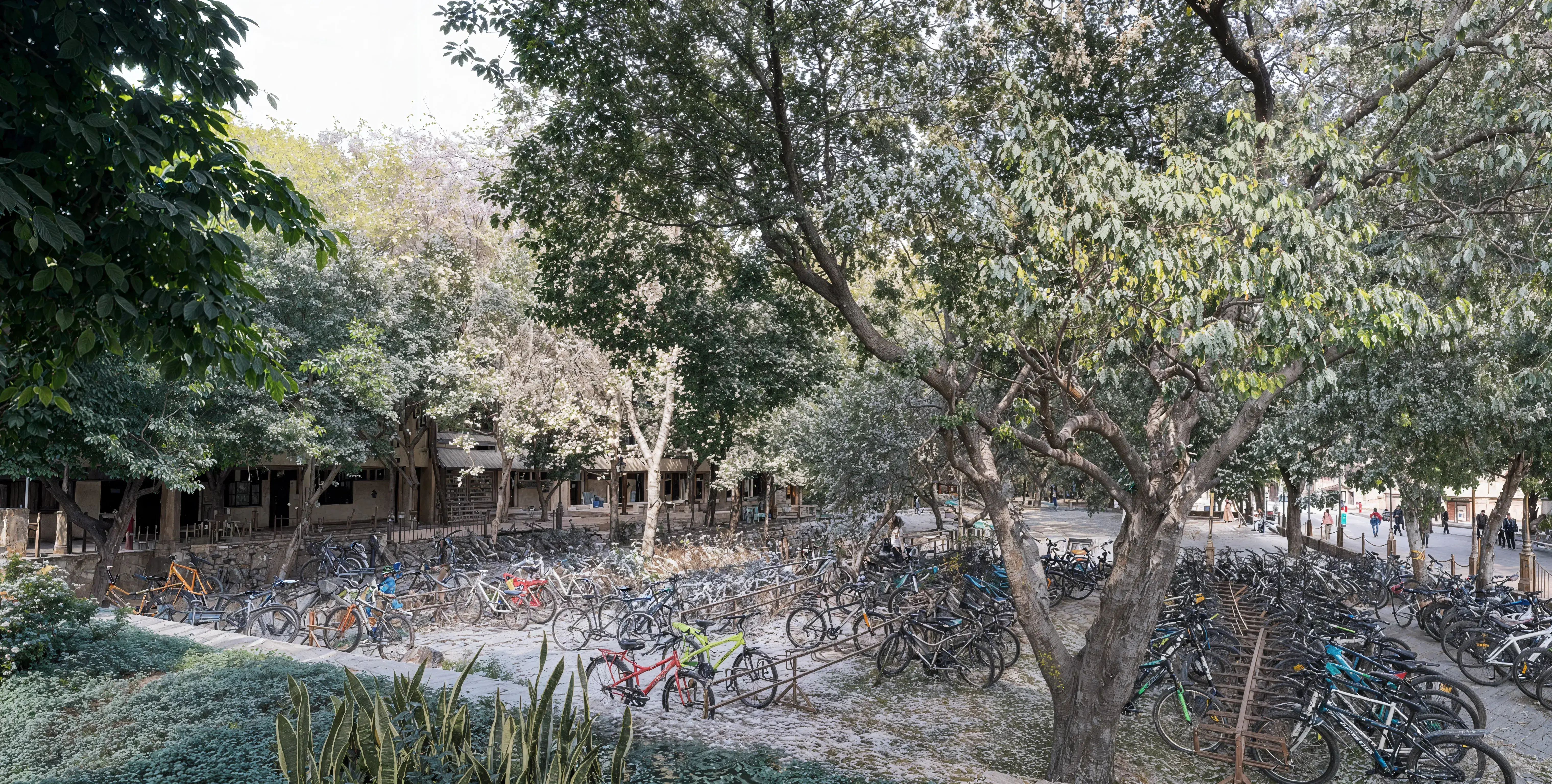 DMS, IIT Delhi Campus photo 8